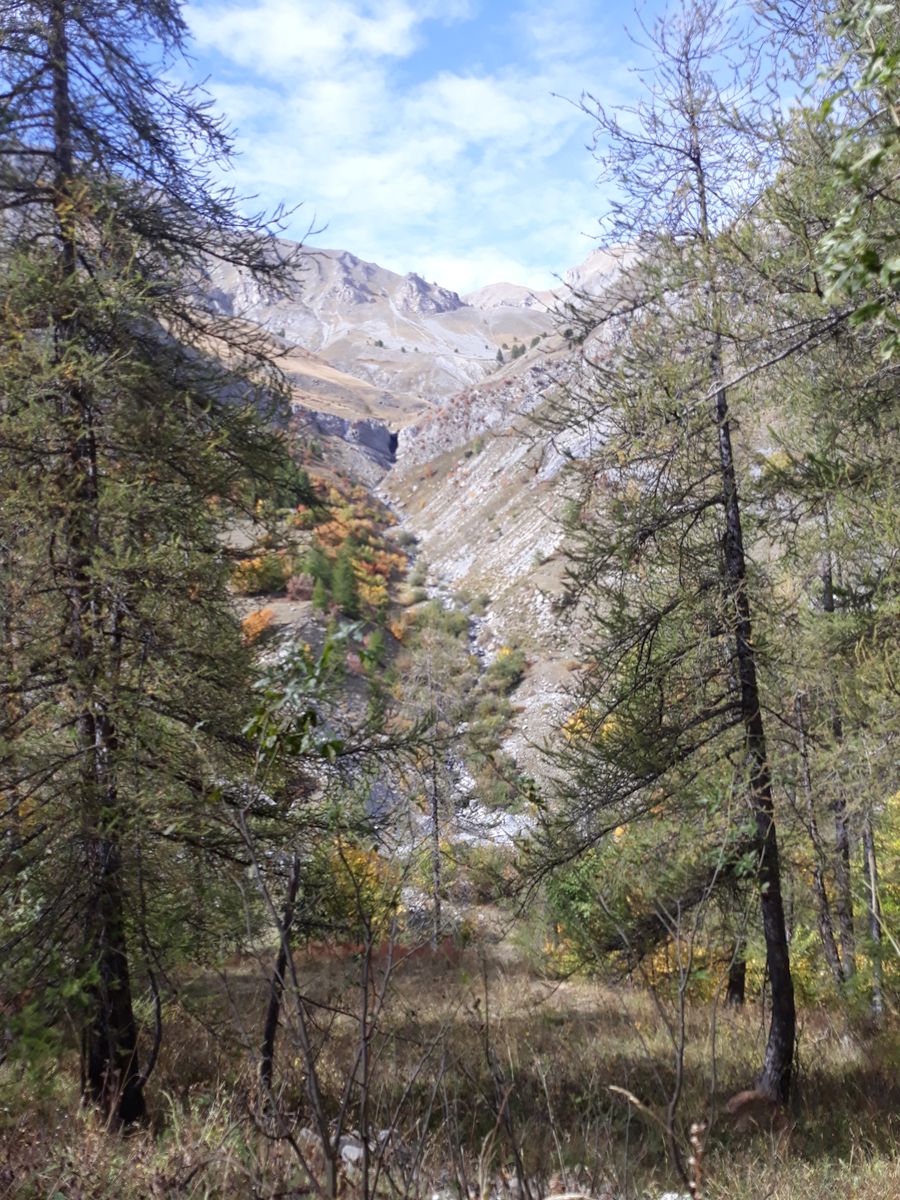 Mountains