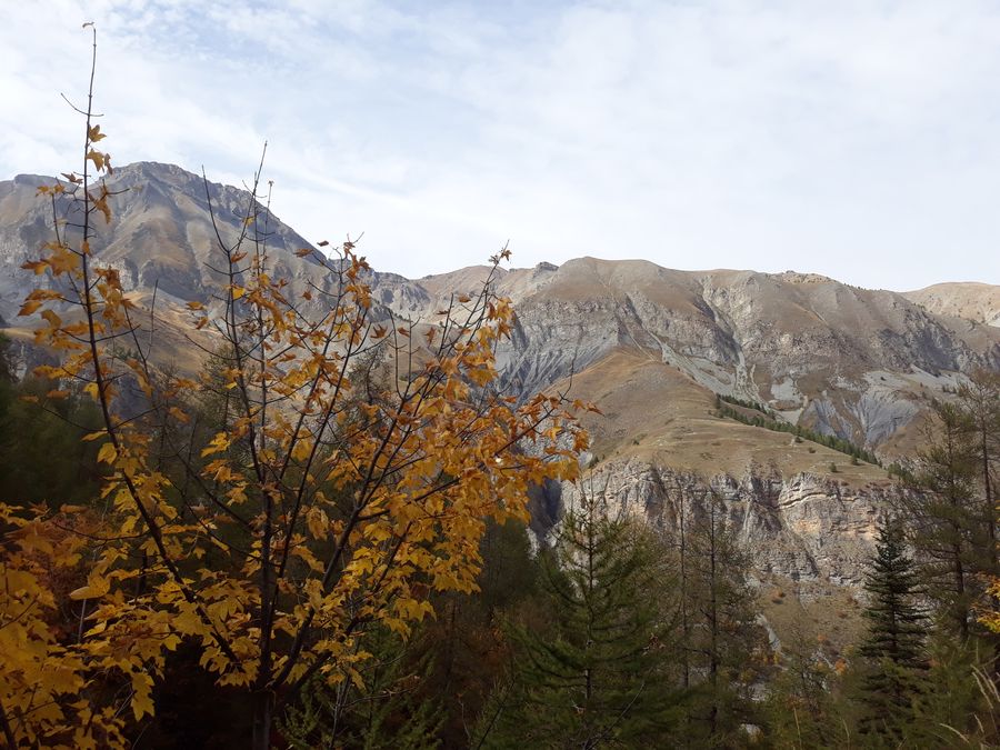 Mountains