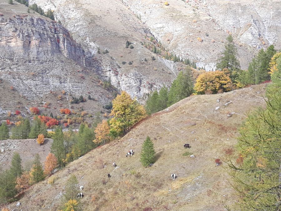Mountains