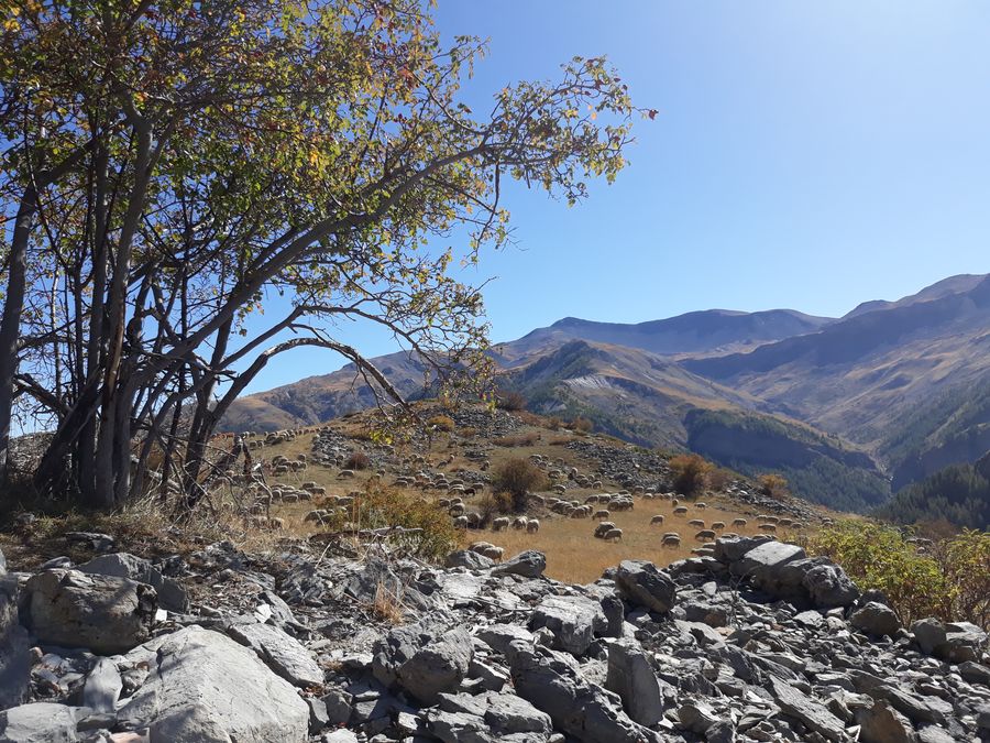 Mountains