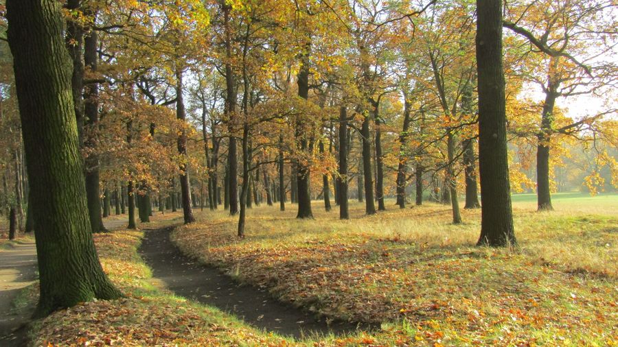 Autumn
