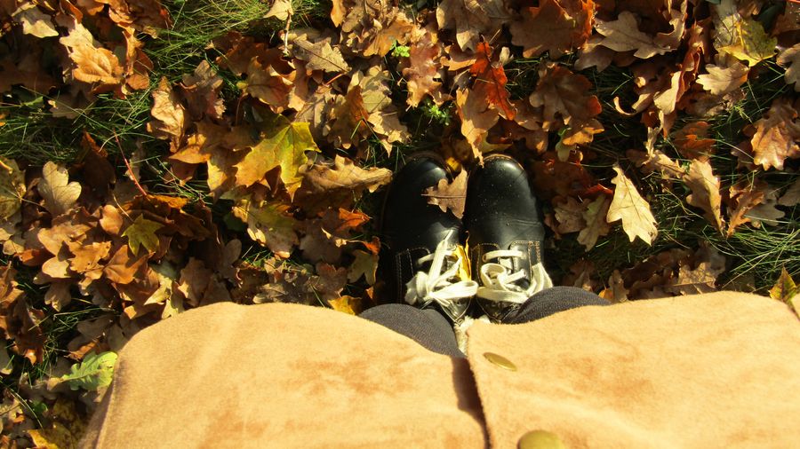 Autumn
