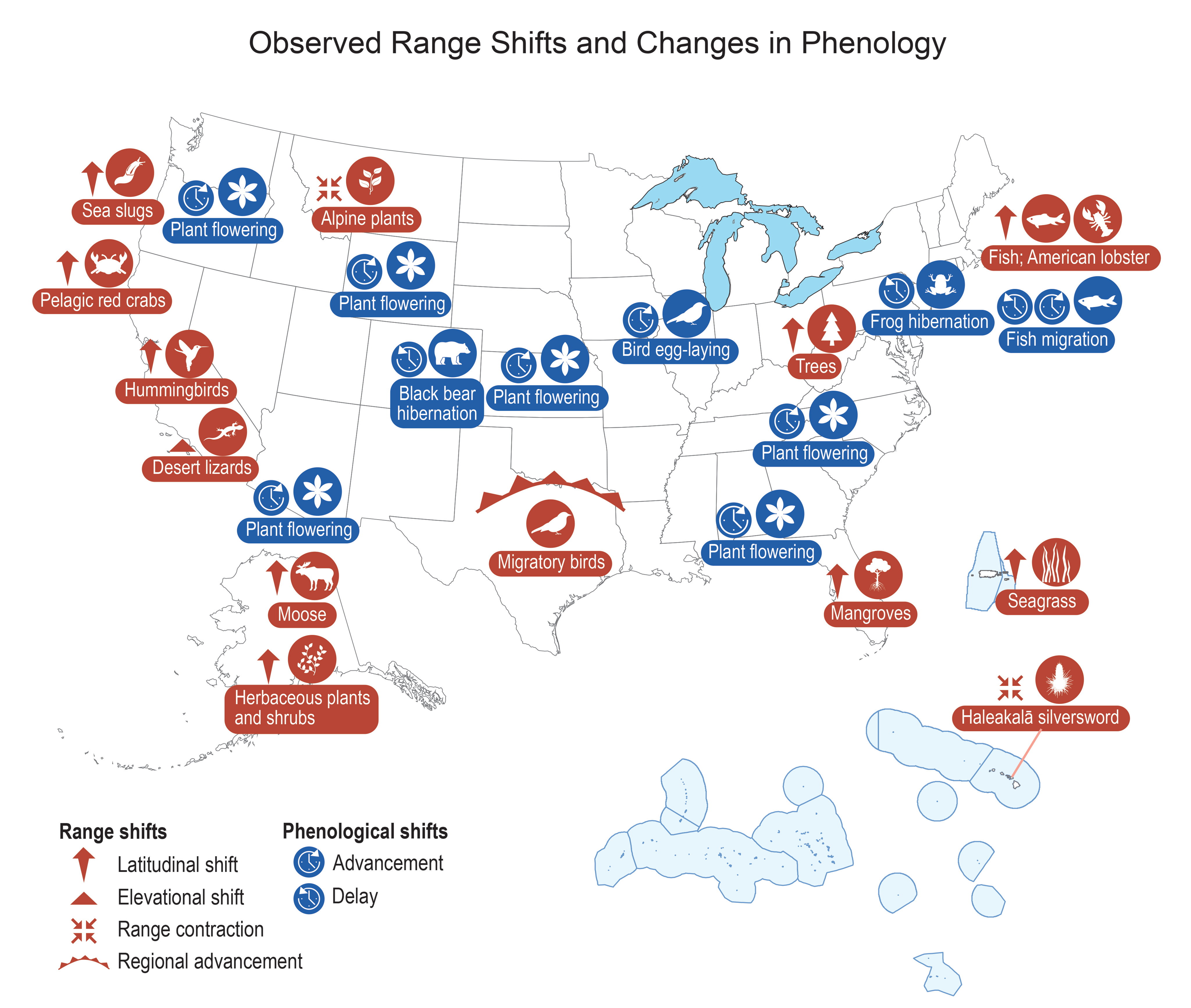 Modifications observées des aires de répartition et de la phénologie