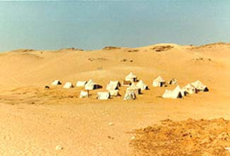 Biome désertique