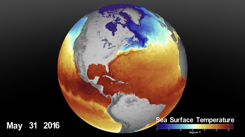Température de surface de l'océan