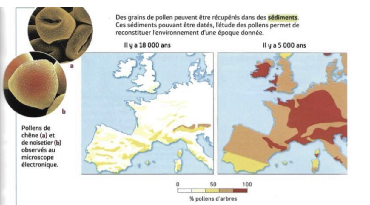 Pollens et cartes d'Europe