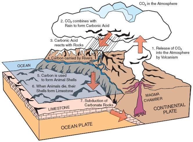 Cycle géologique du carbone
