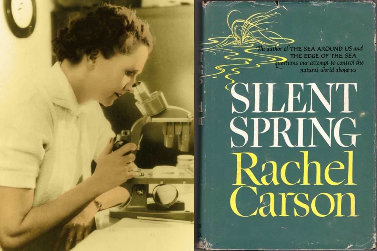 Rachel Carson et Silent Spring