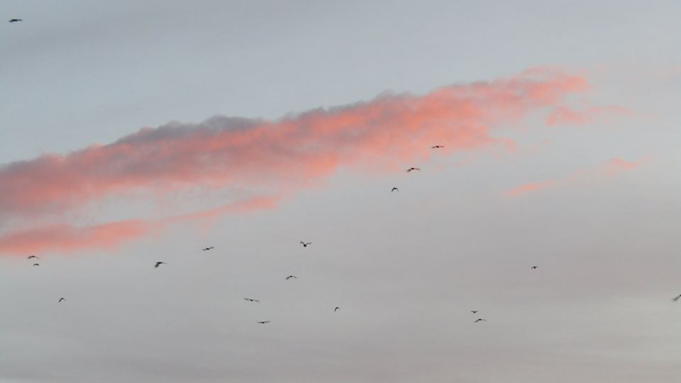 L'atmosphère, objet d'observation de tout temps