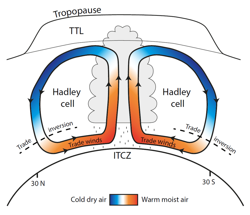 La circulation de Hadley et la zone de convergence intertropicale