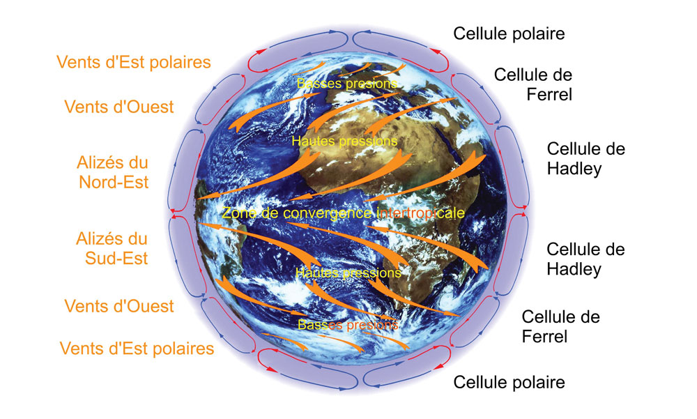 Vue d'ensemble : vents dominants et cellules