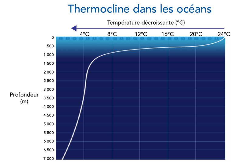 Thermocline