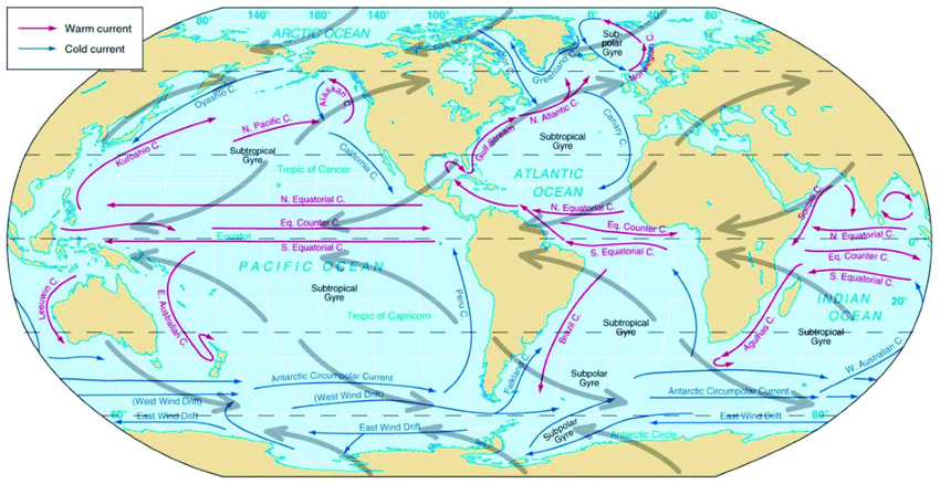 Circulation océanique mondiale