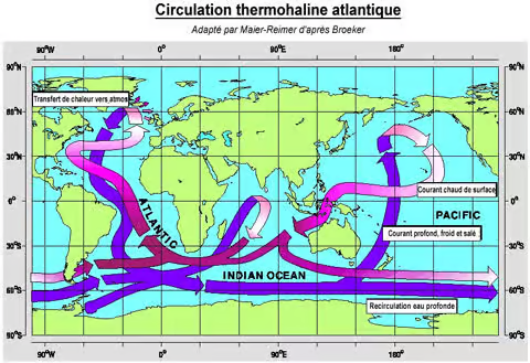 Circulation thermohaline atlantique