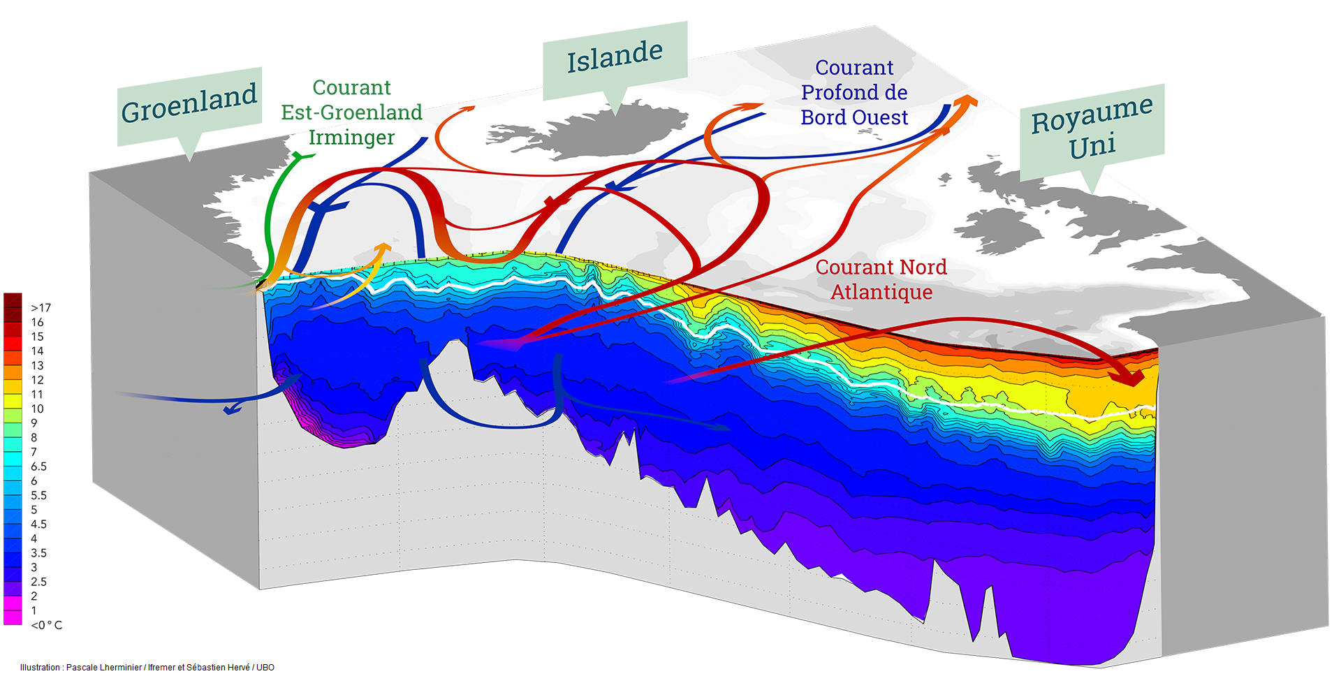 Circulation en Atlantique Nord (coupe 3D)