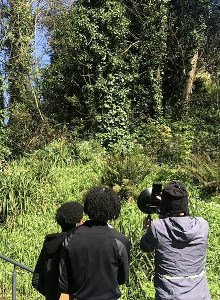 Élèves sur le terrain manipulant des capteurs en lisière de forêt