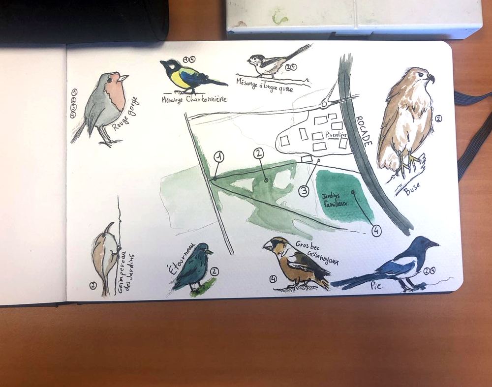 Carnet d'observation des oiseaux réalisé par les participants