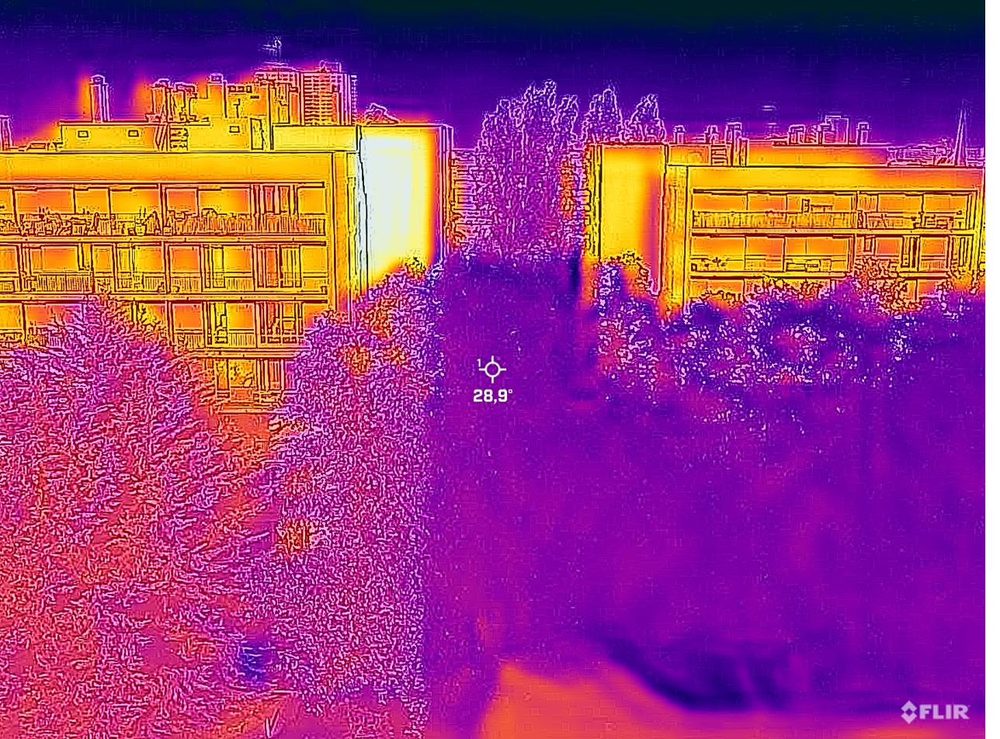 La même scène en thermographie : arbres frais en sombre, façades chaudes en clair