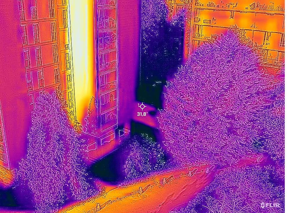 Image thermique contrastant des arbres frais et une façade chaude
